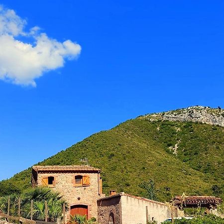 Гостьовий будинок Corral D'En Romagosa Begues Екстер'єр фото